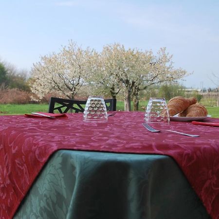 B&B Da Rosy Lazise Zewnętrze zdjęcie
